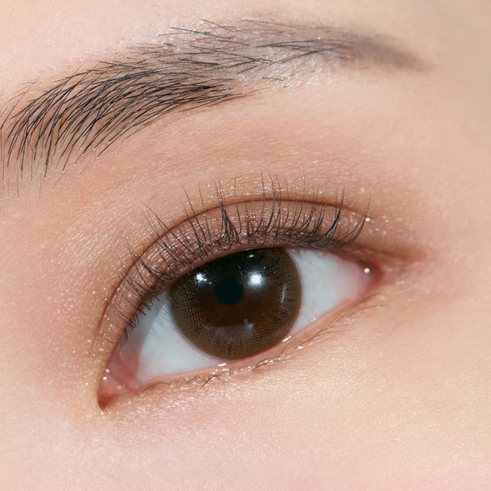 CLIO Shade & Shadow Palette - Faborya