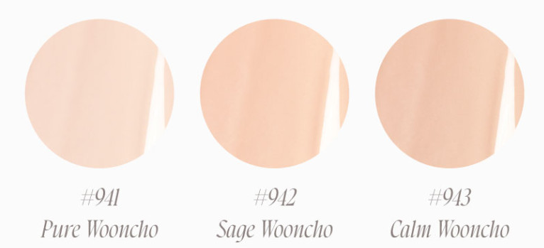 Dinto [Wooncho Coleection] Blur-Glowy Cushion 12g #Refill - Faborya