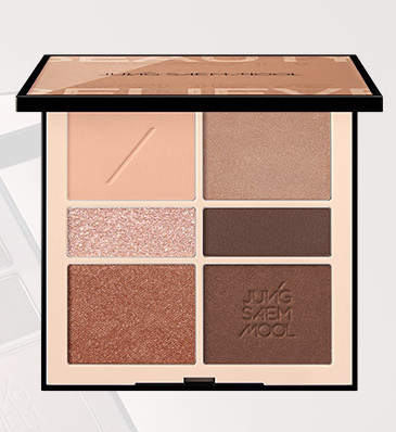 JUNGSAEMMOOL Artist Eye Palette Nude 15g (2type) - Faborya